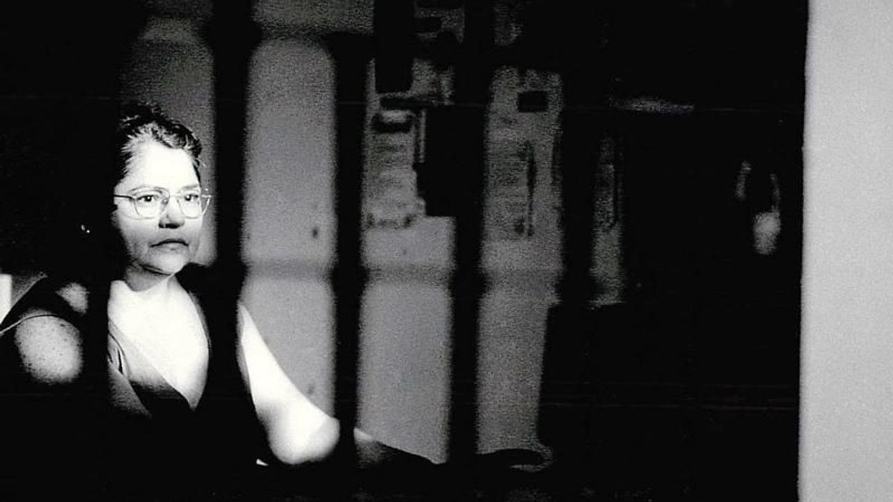 Socorro Nobre Background