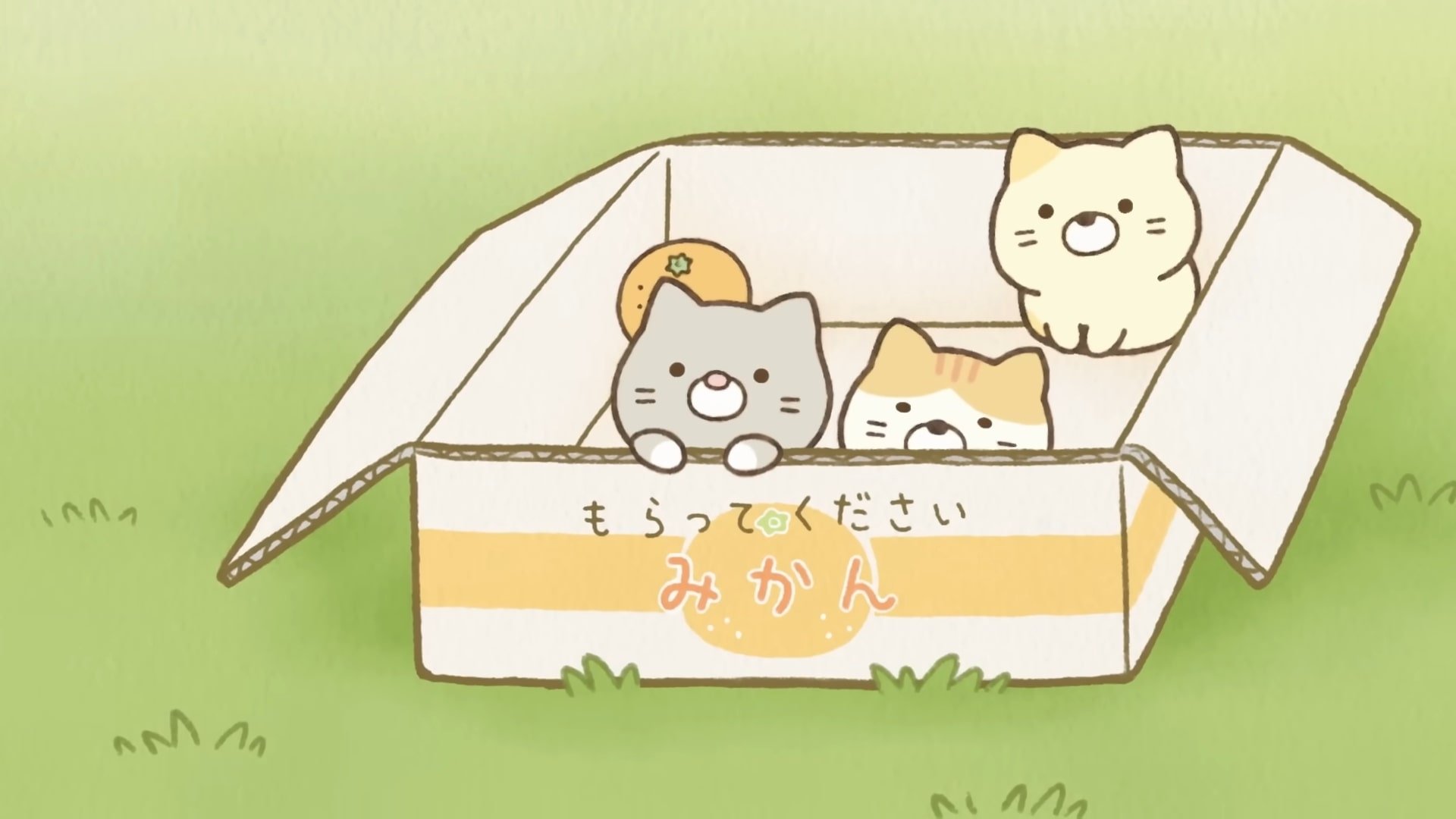 Sumikko Gurashi: Sorairo no Mainichi Background