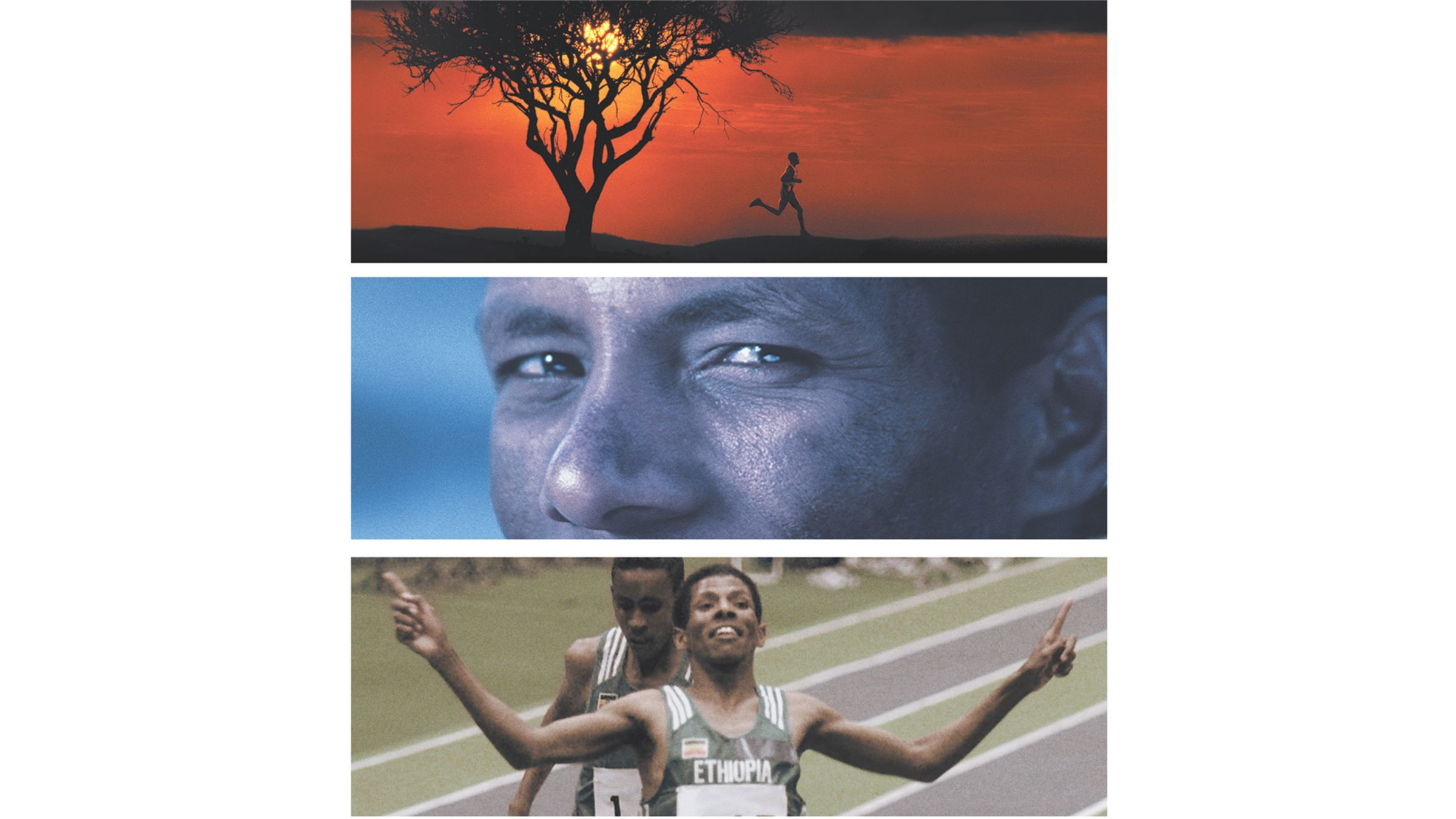 Endurance Background