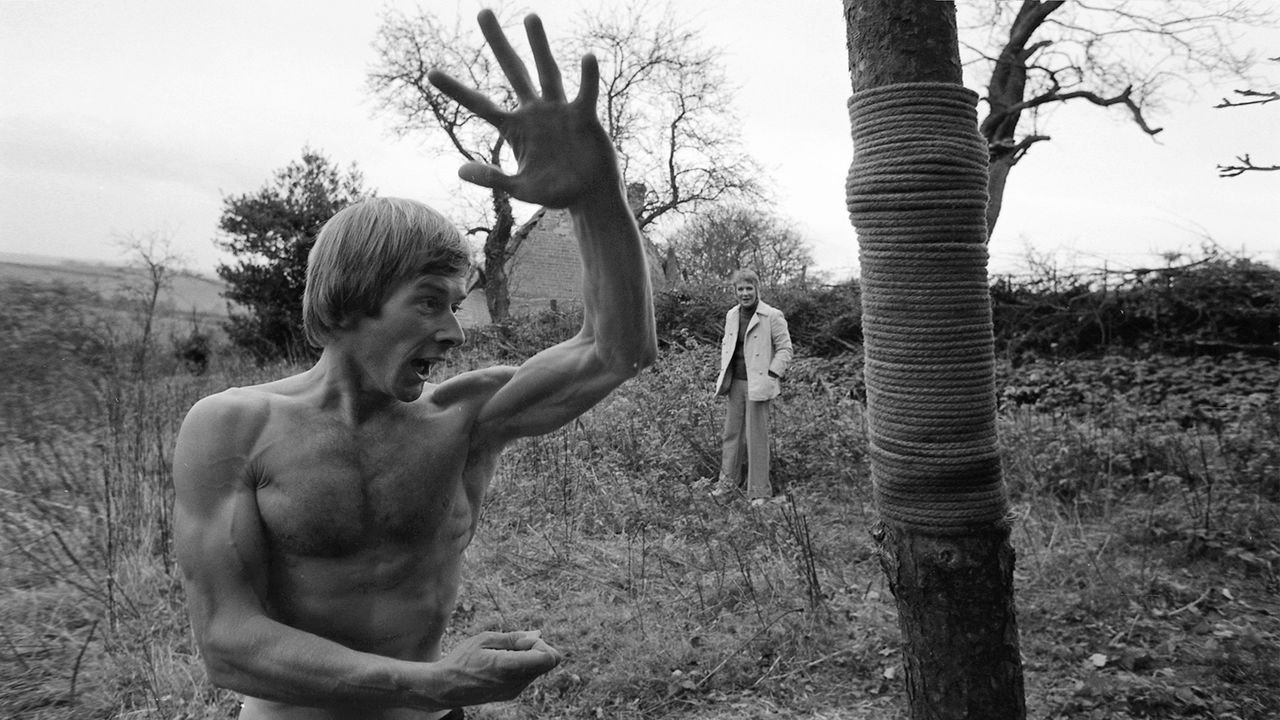 Robin Redbreast Background