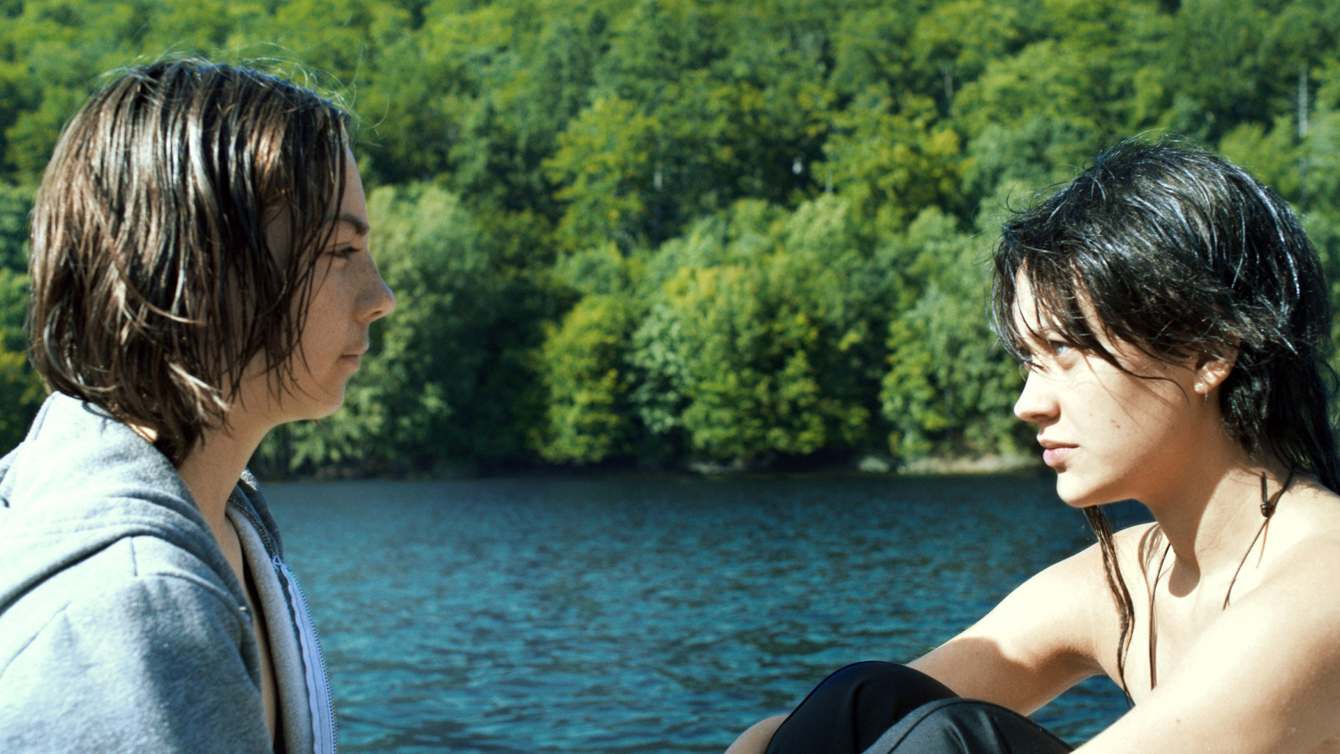 Goodbye Berlin Background