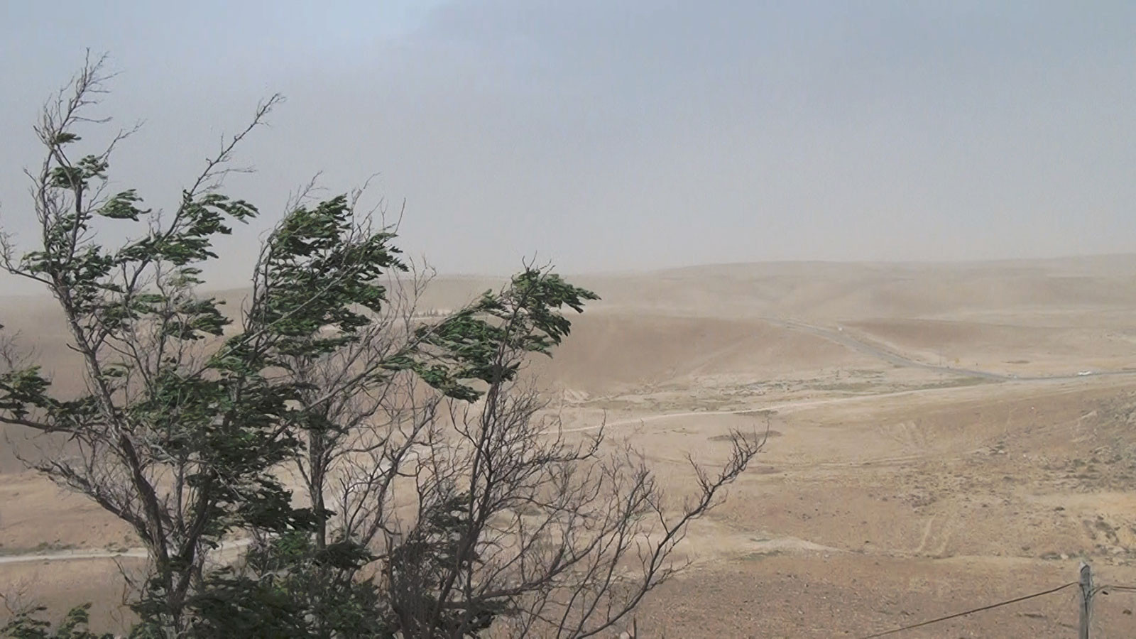 No Home Movie Background