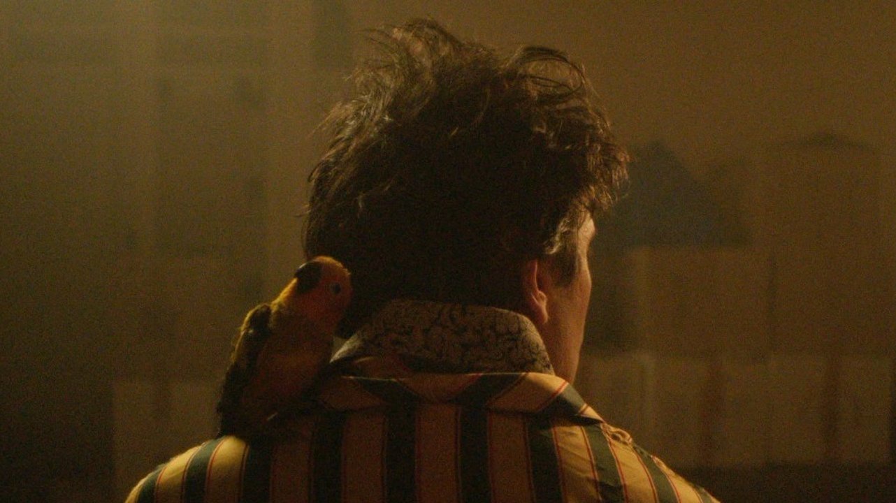 The Starry Sky Above Me Background