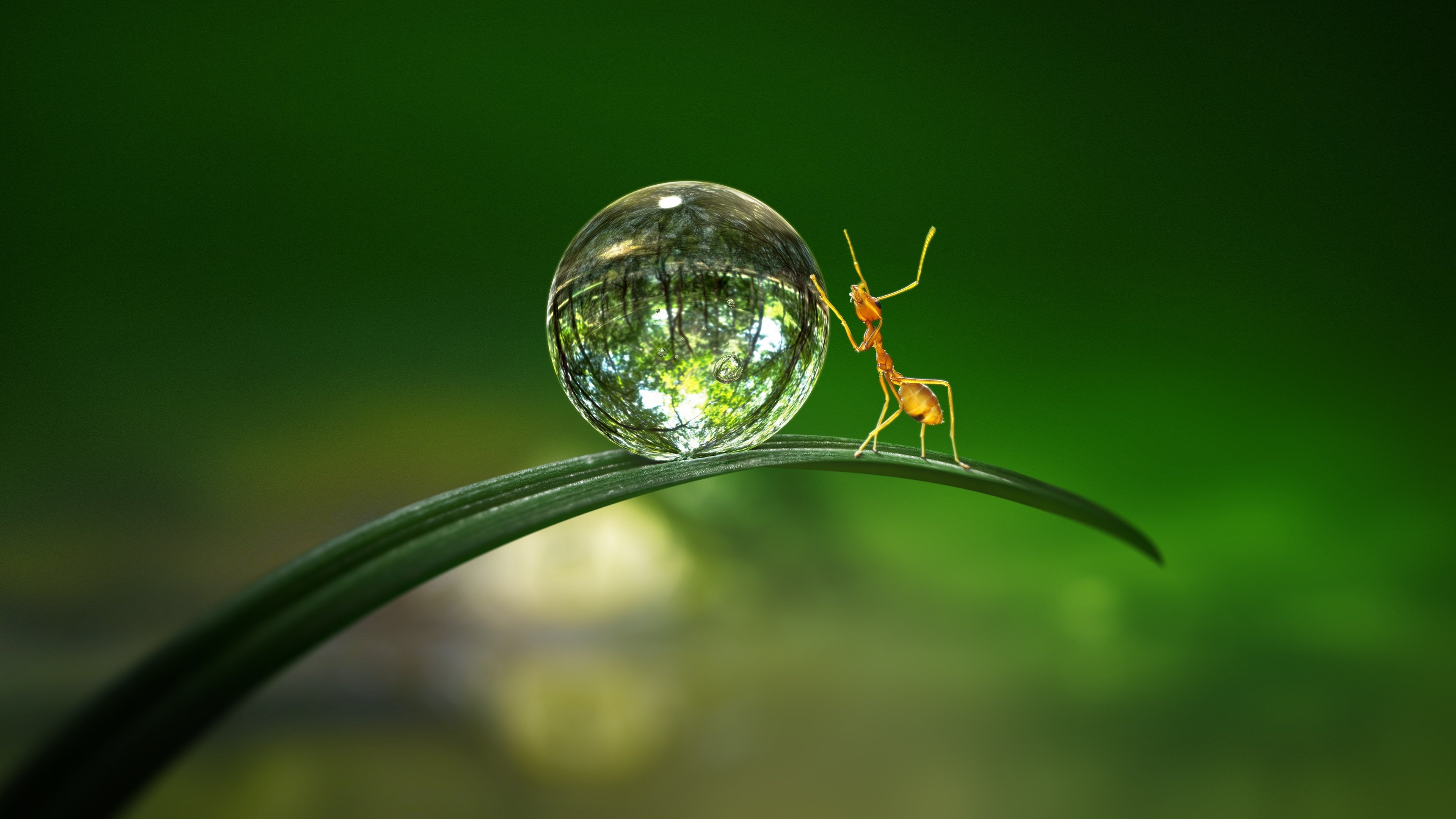 Tiny World Background