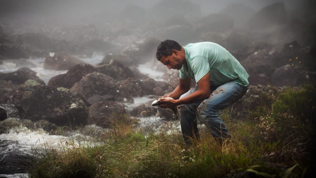 Signature Background