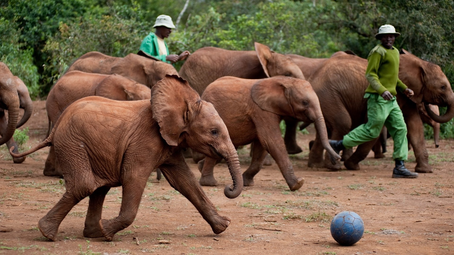 Born to Be Wild Background