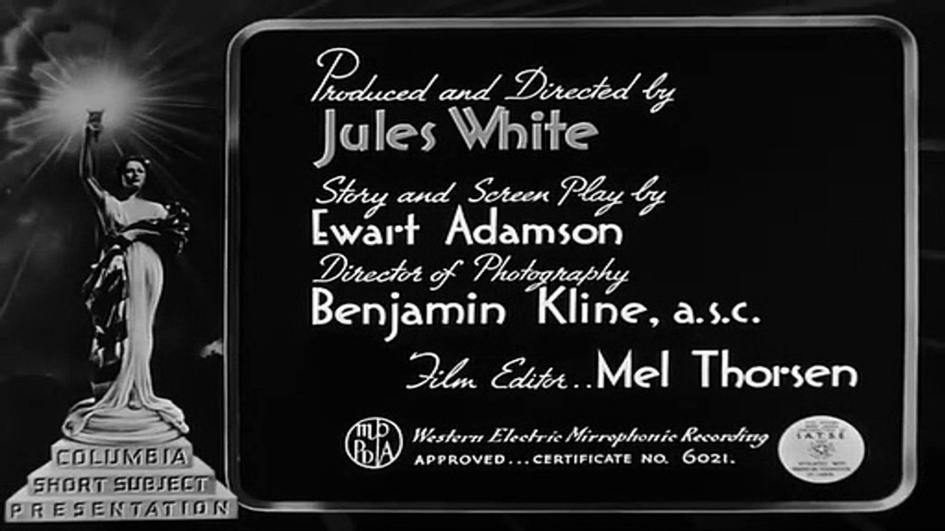 Money Squawks Background