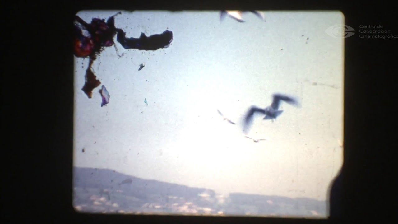 Lupulos' House Background