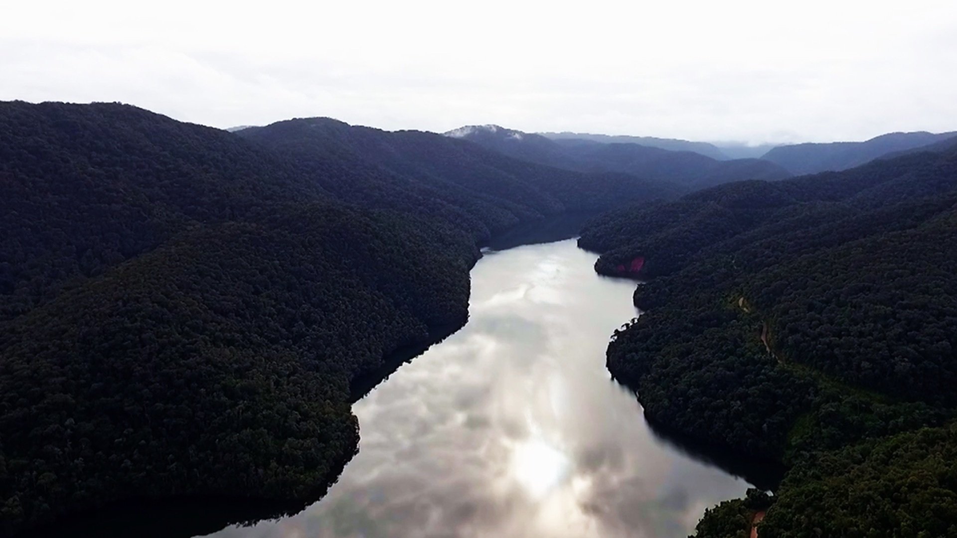 Terra Brasil - Guias Background