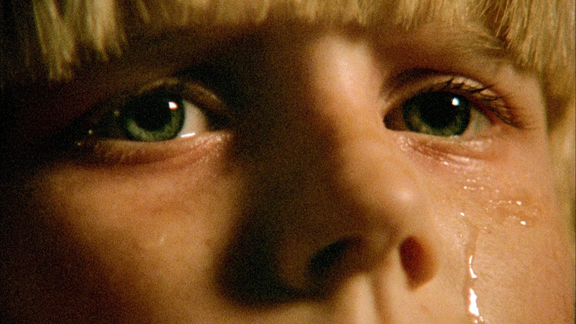 The Brood Background