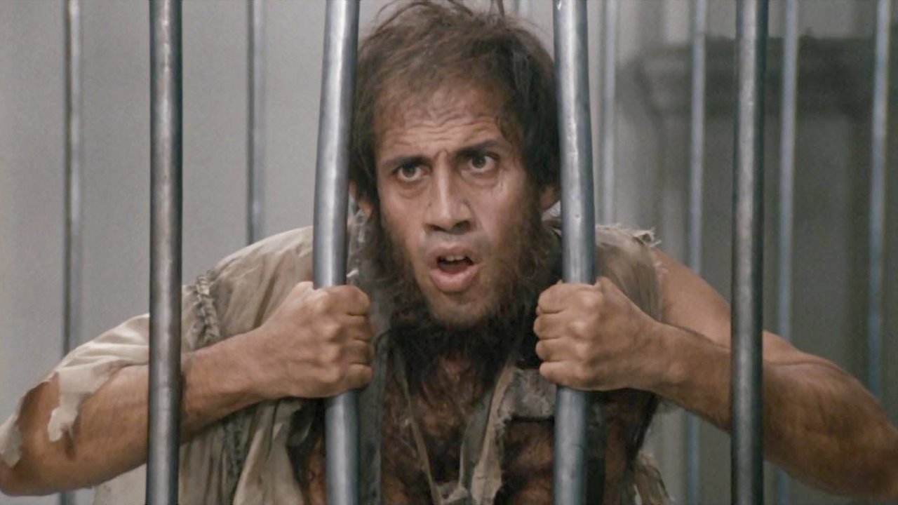 Bingo Bongo Background