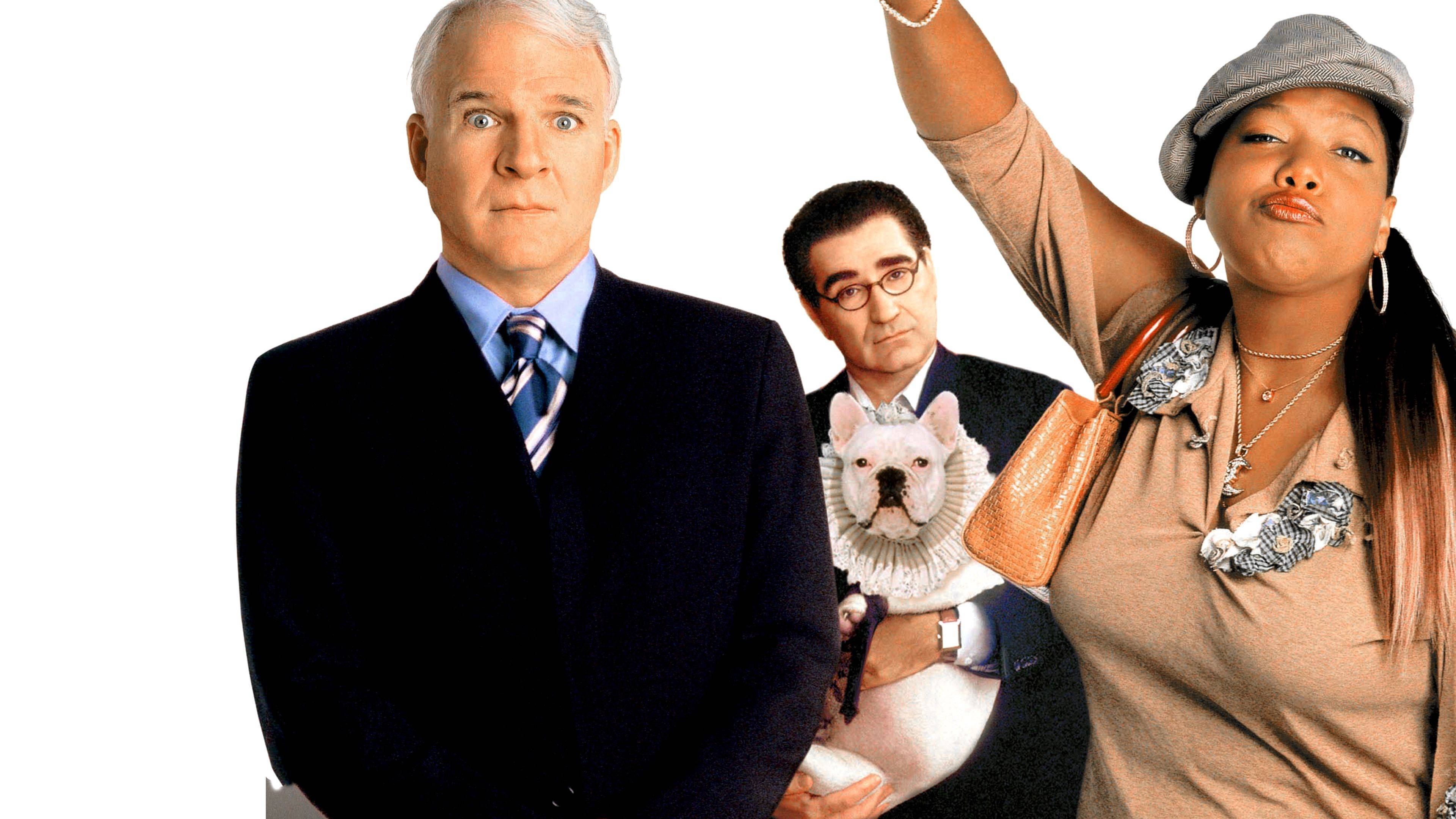 Bringing Down the House Background