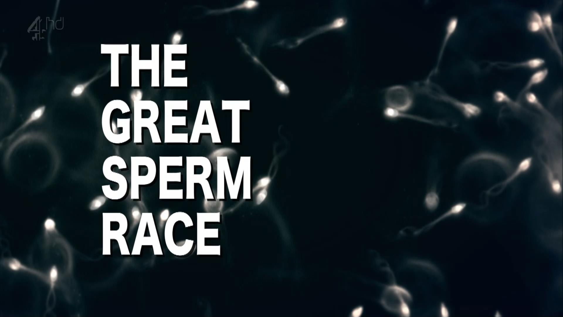 The Great Sperm Race Background