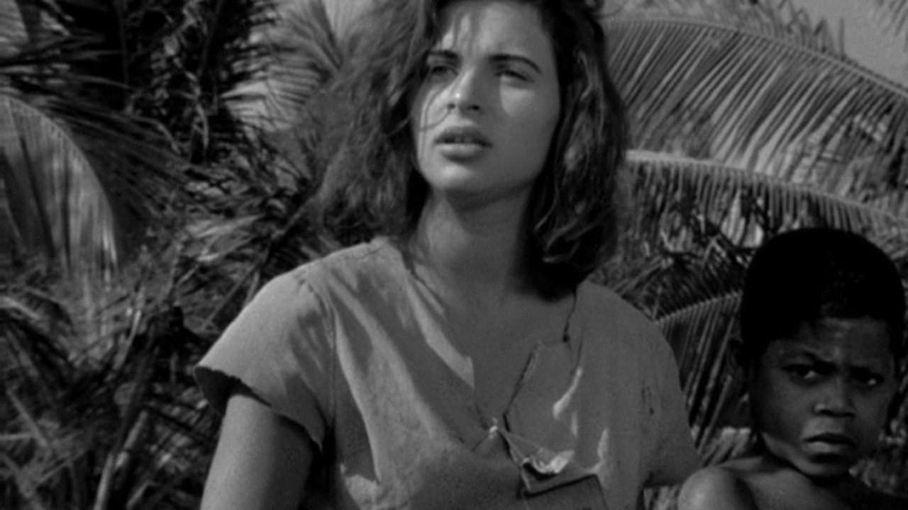 The Turning Wind Background