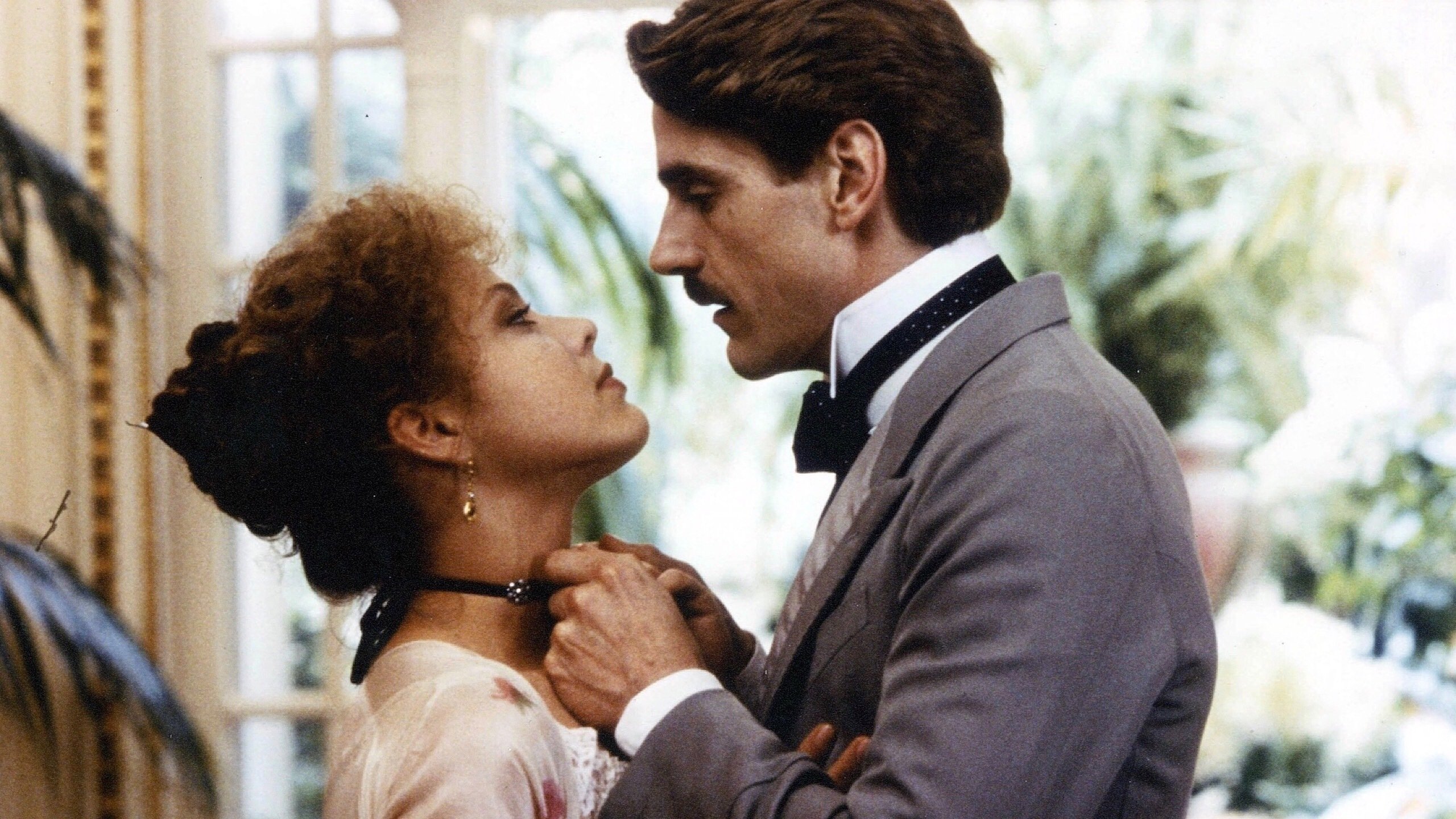 Swann in Love Background