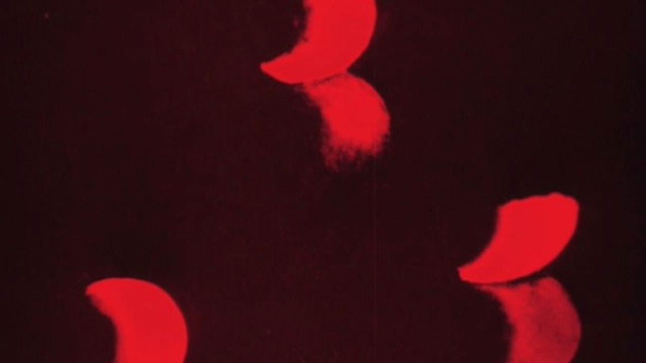 Lichtspiel: Opus I Background