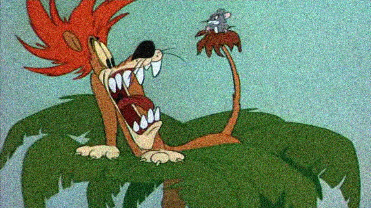 Slap Happy Lion Background