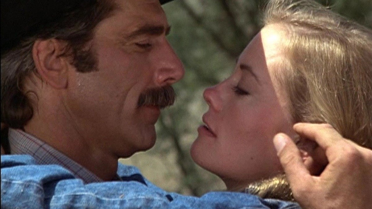 The Yellow Rose Background