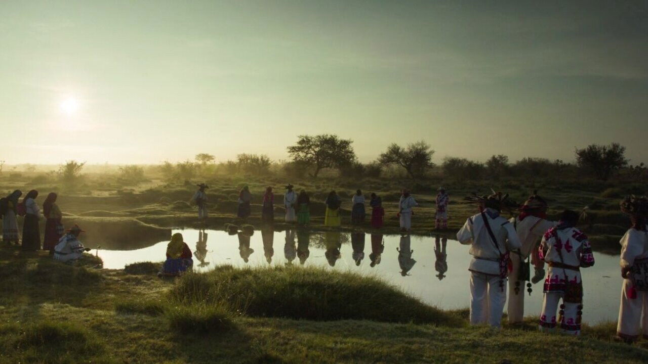 El sueño del Mara'akame Background