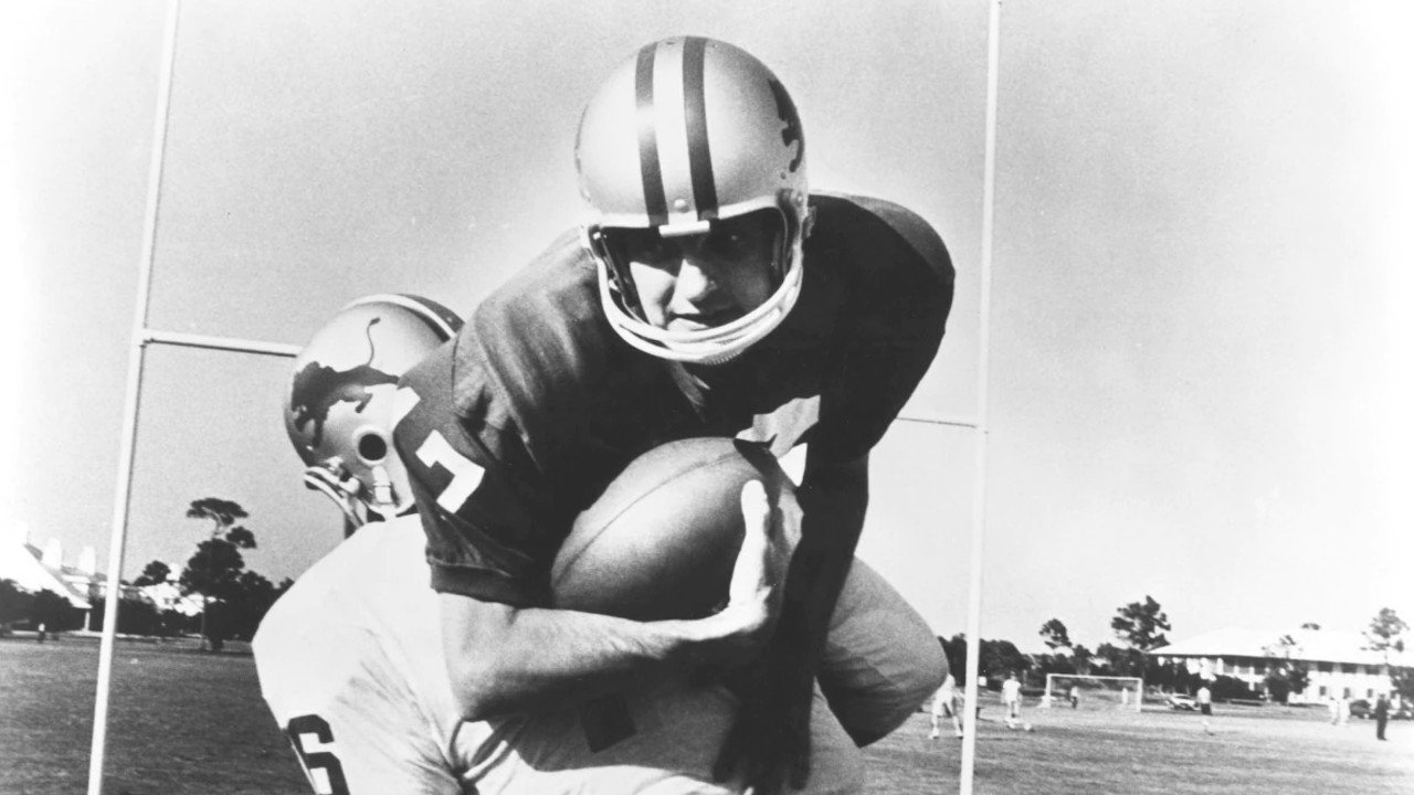 Paper Lion Background