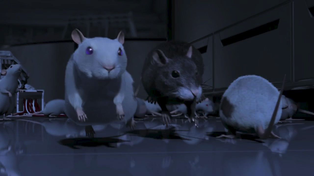 One Rat Short Background
