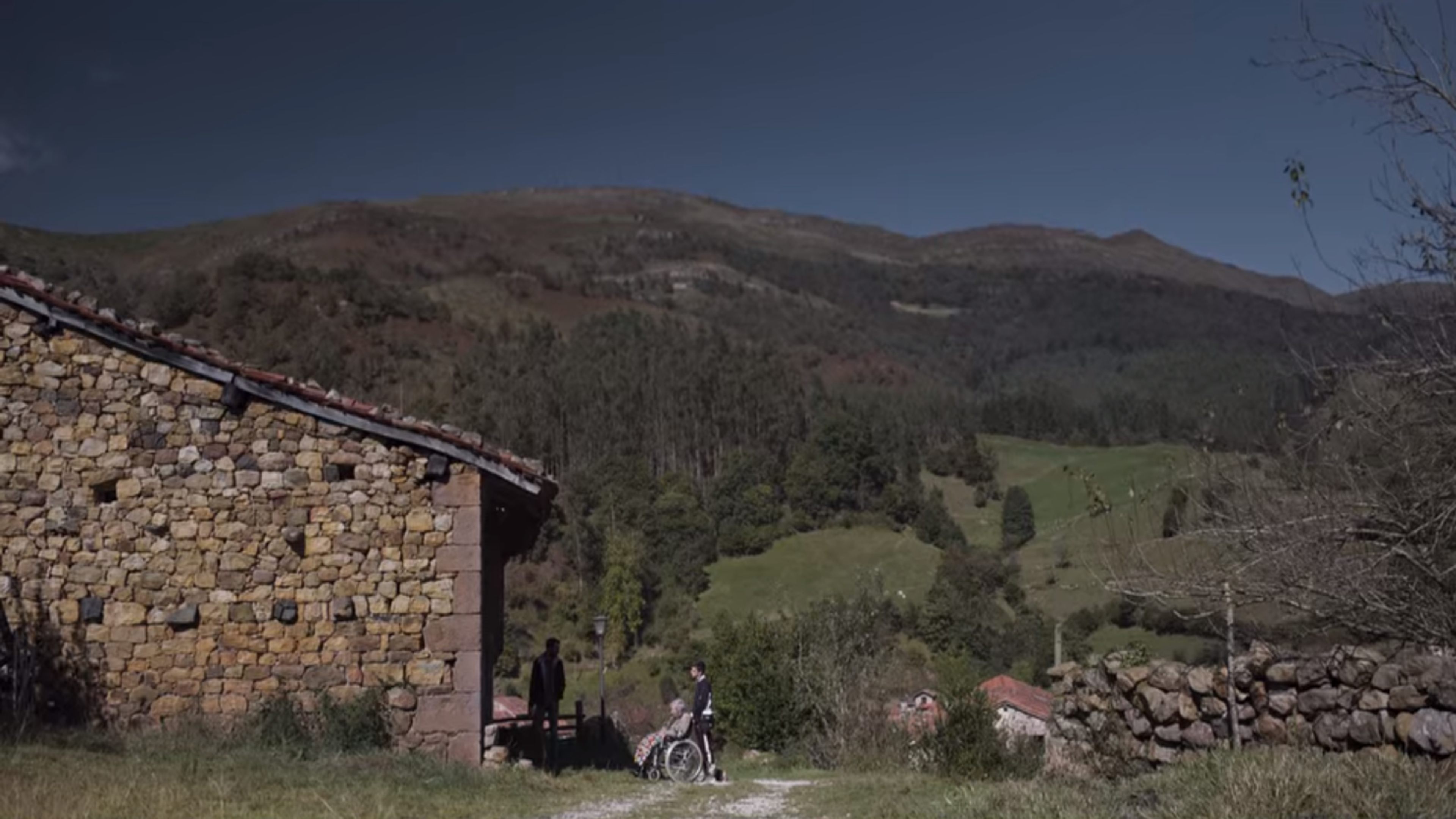 Diecisiete Background