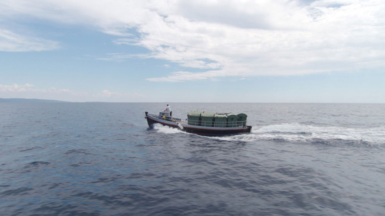 Matter Out of Place Background