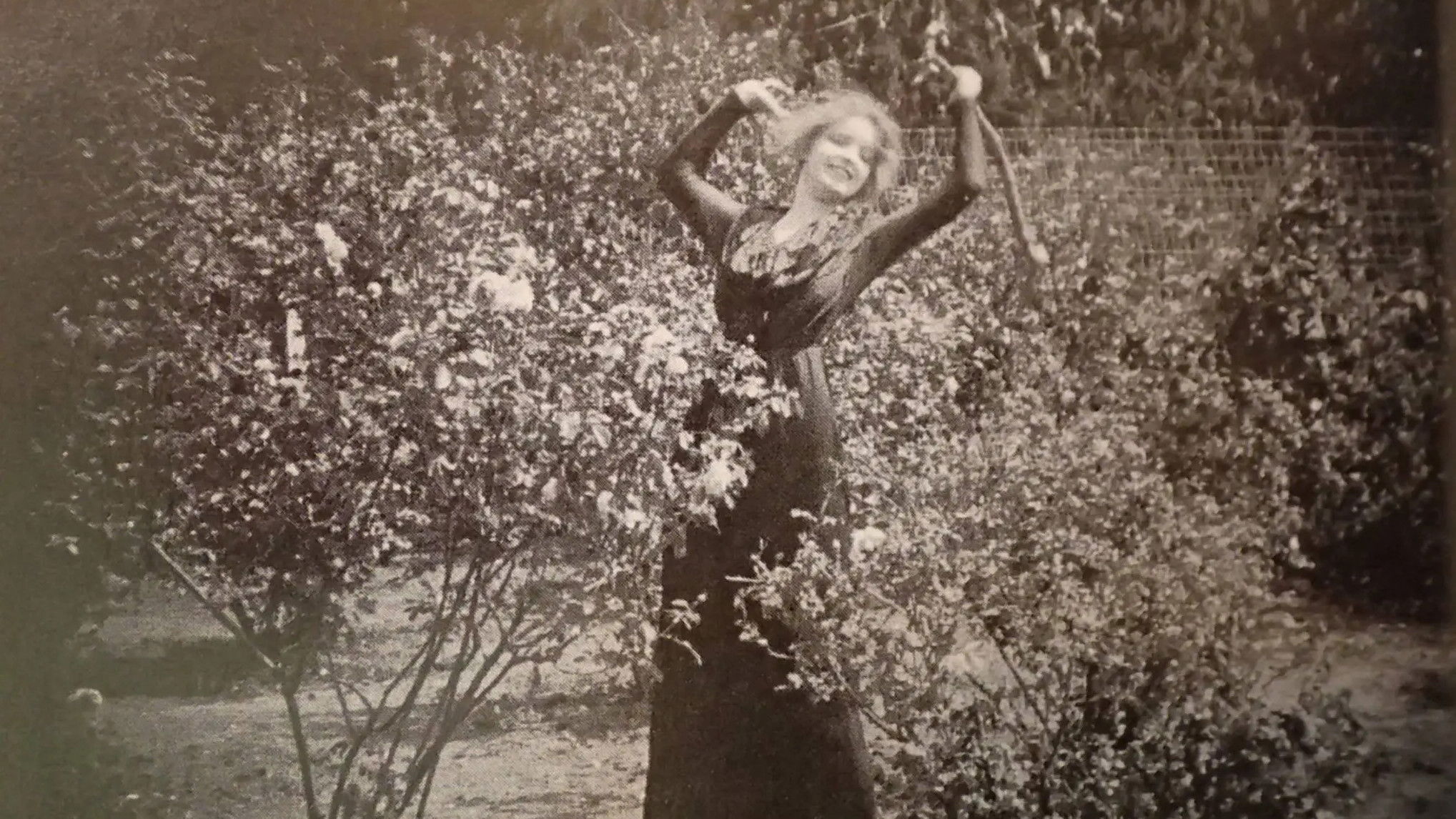 The Mothering Heart Background