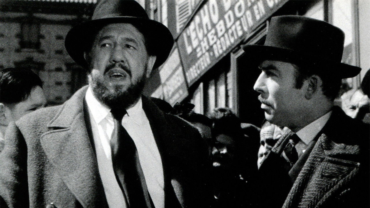 Not Guilty Background