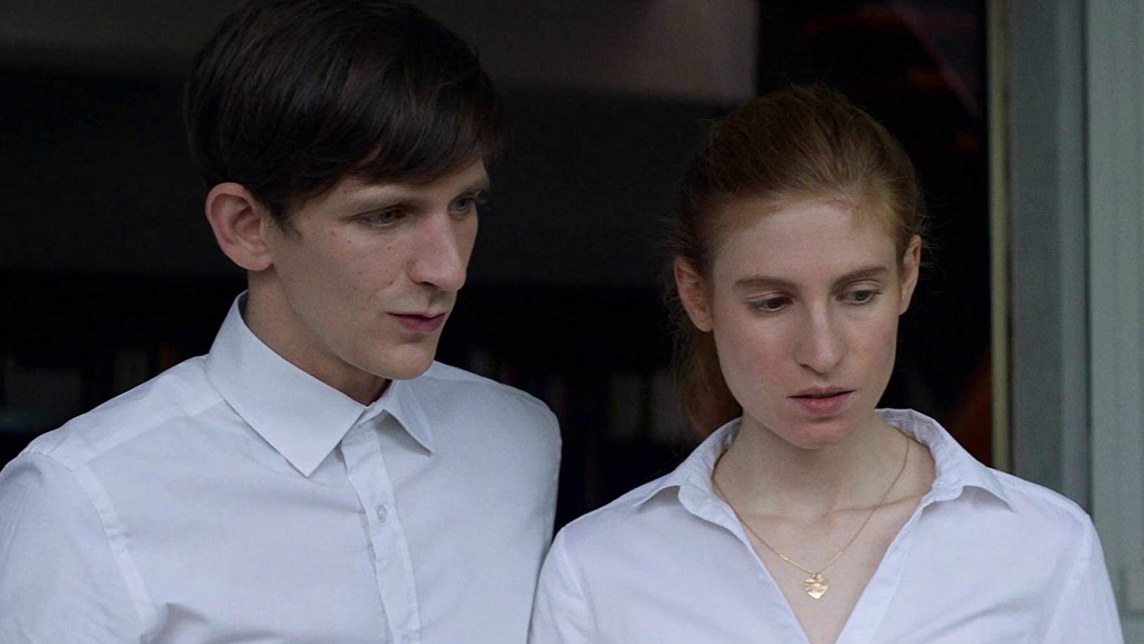 Blonde Animals Background