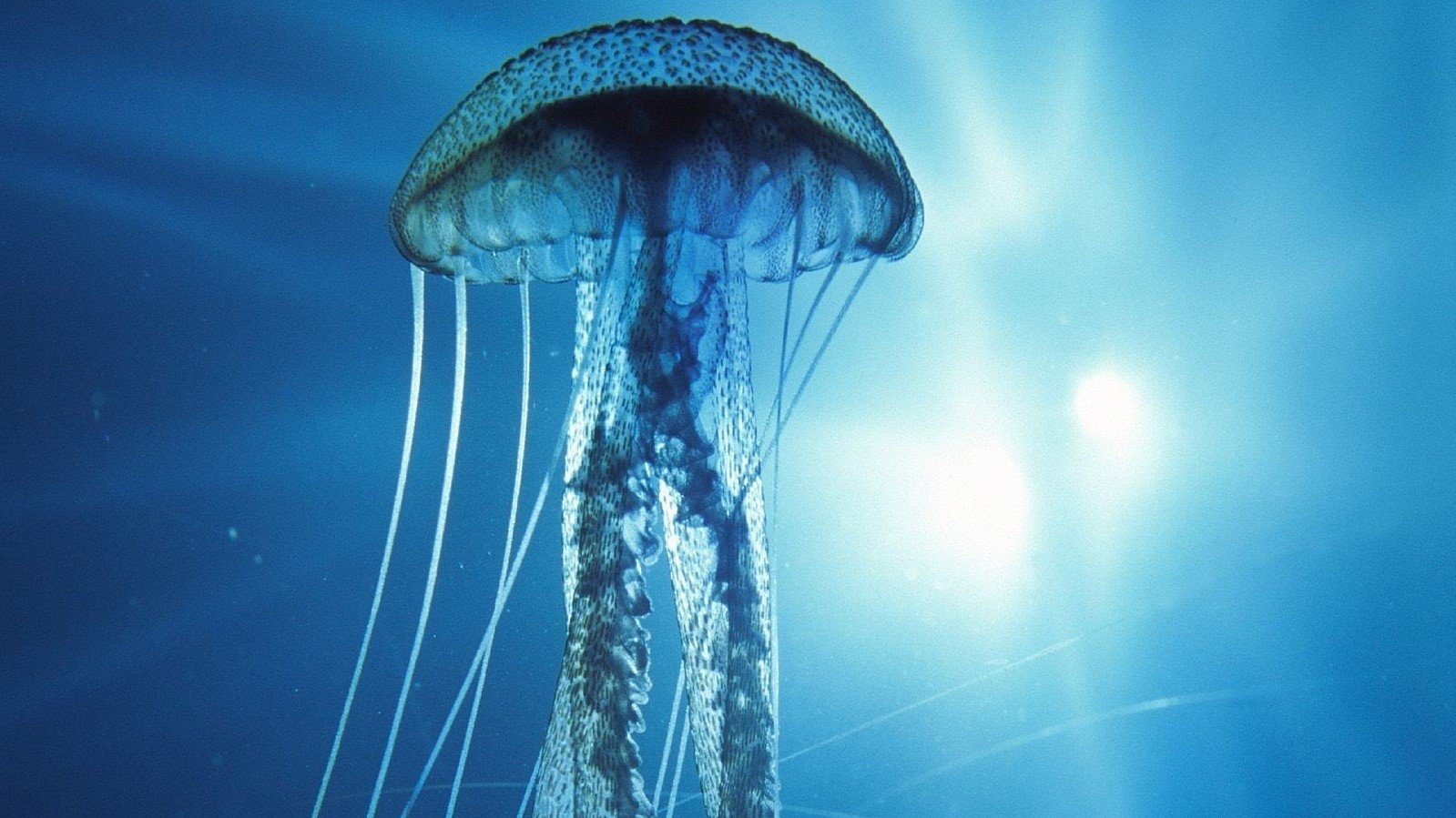 Into the Deep Background