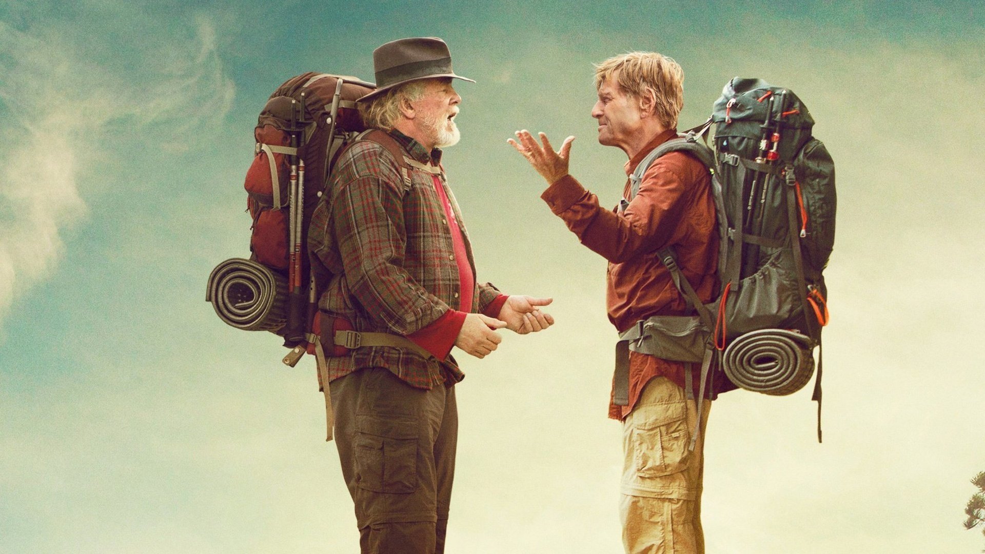 A Walk in the Woods Background