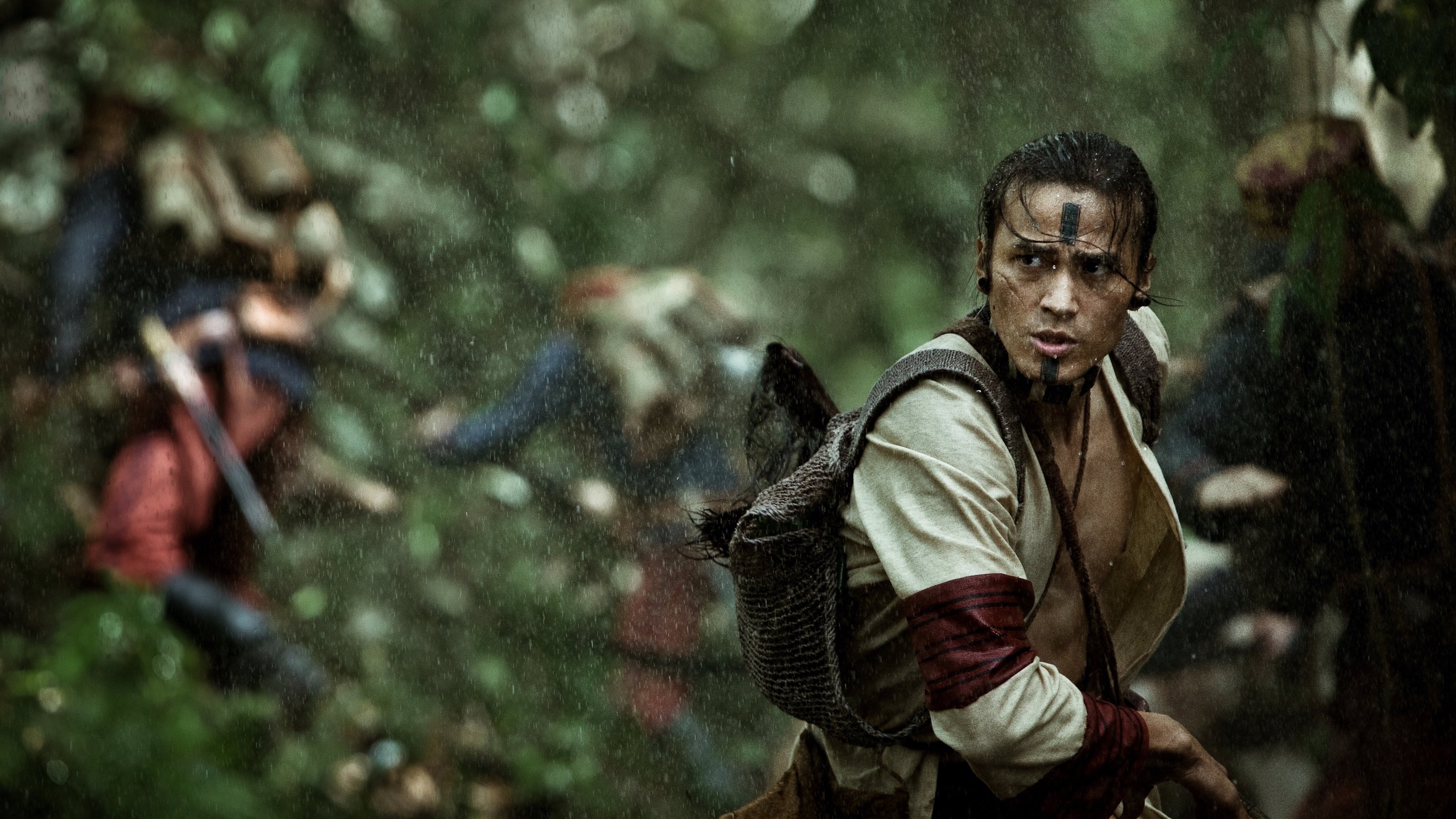 Warriors of the Rainbow: Seediq Bale Background