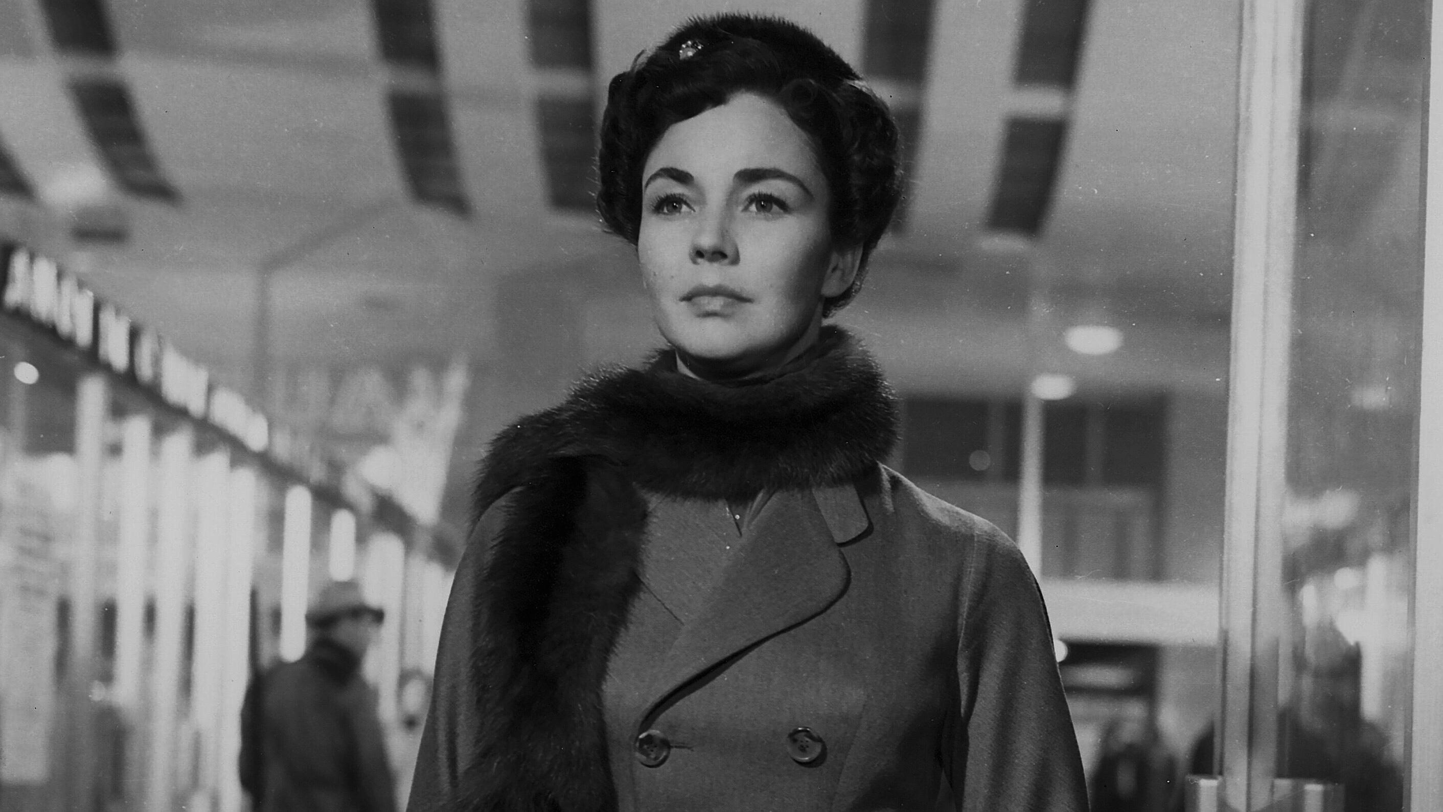 Indiscretion of an American Wife Background