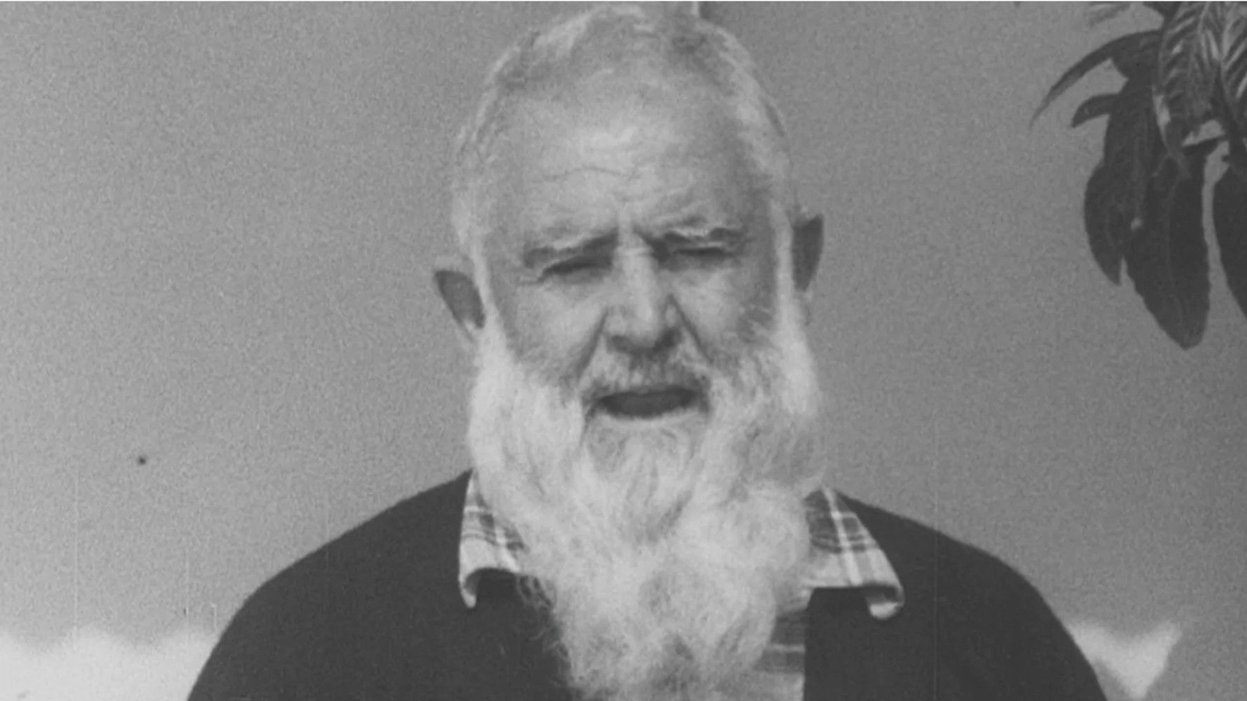 Tracce di Rocco Background