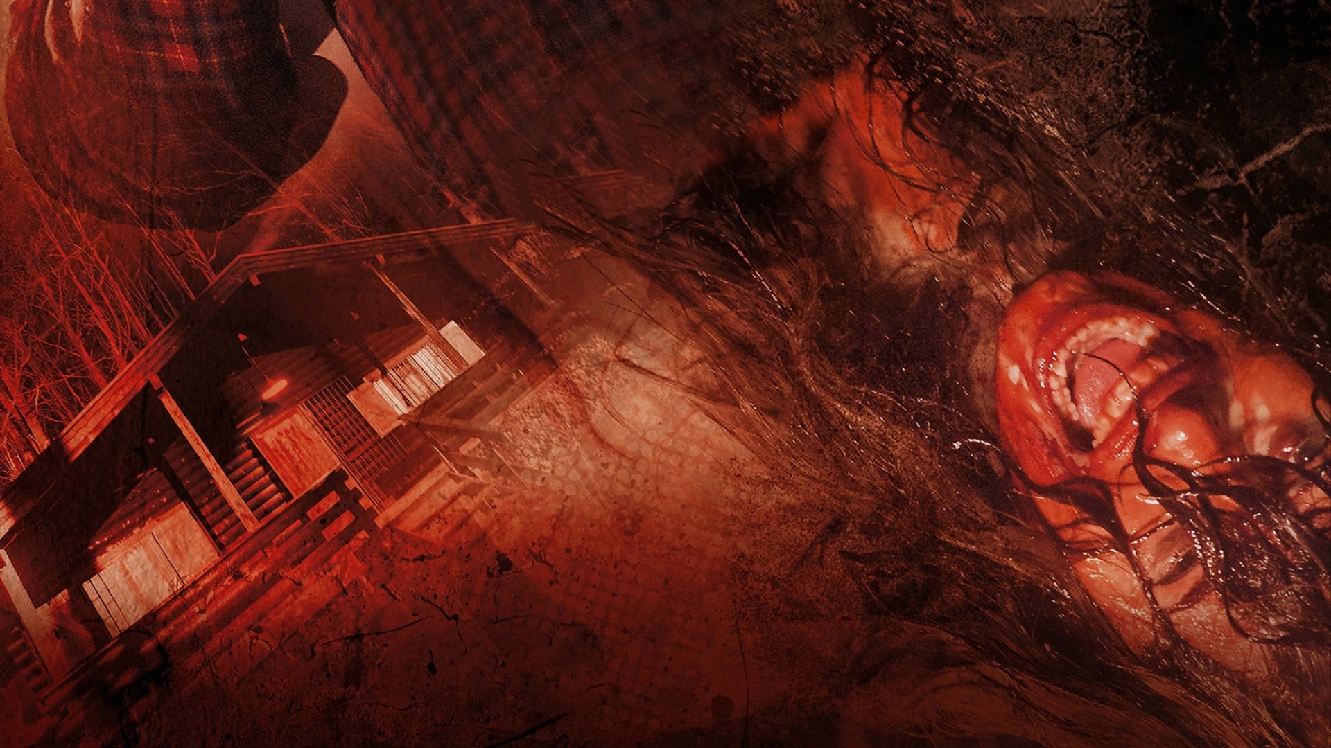 The Perfect Husband Background