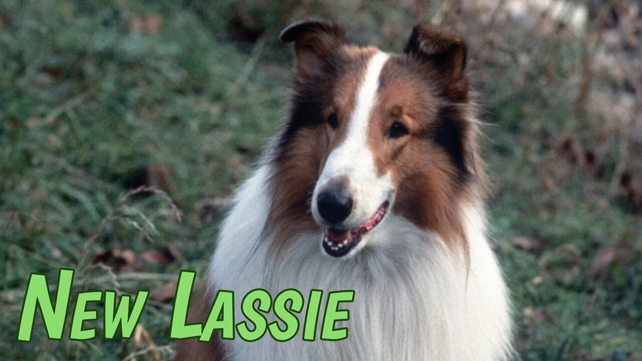 The New Lassie Background