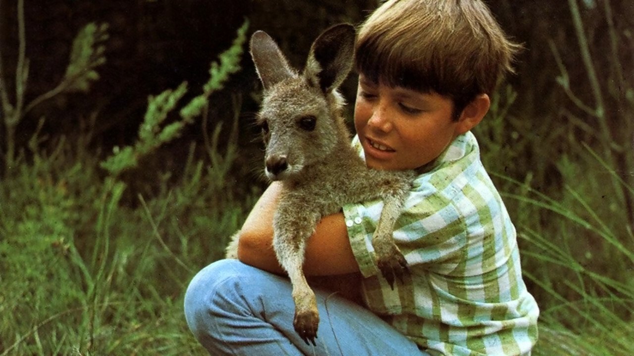 Skippy the Bush Kangaroo Background