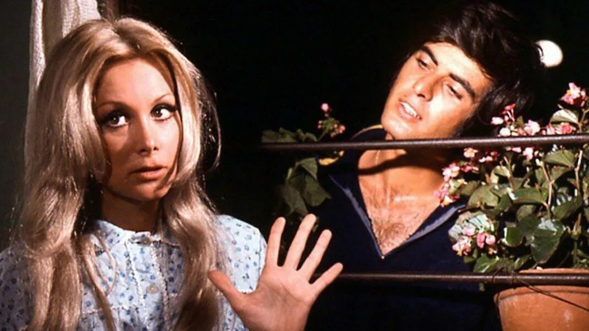 Sweet Talker Background