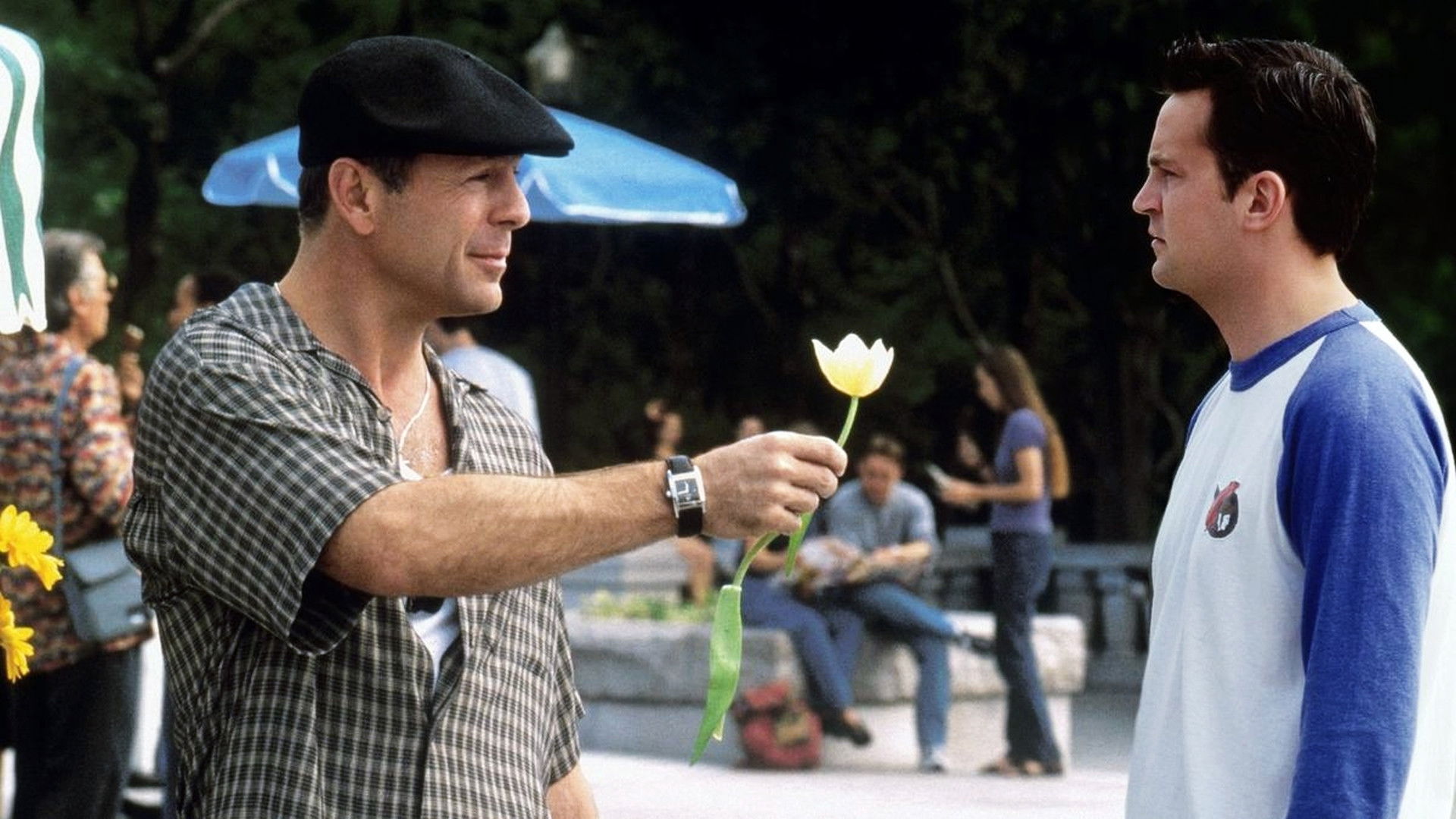 The Whole Nine Yards Background