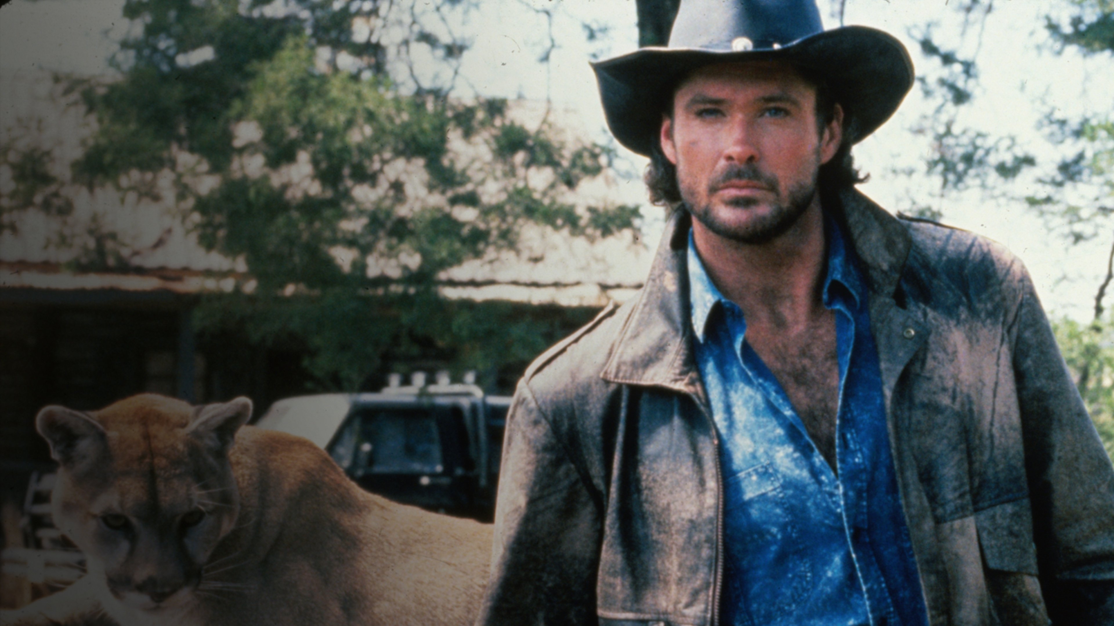 The Final Alliance Background