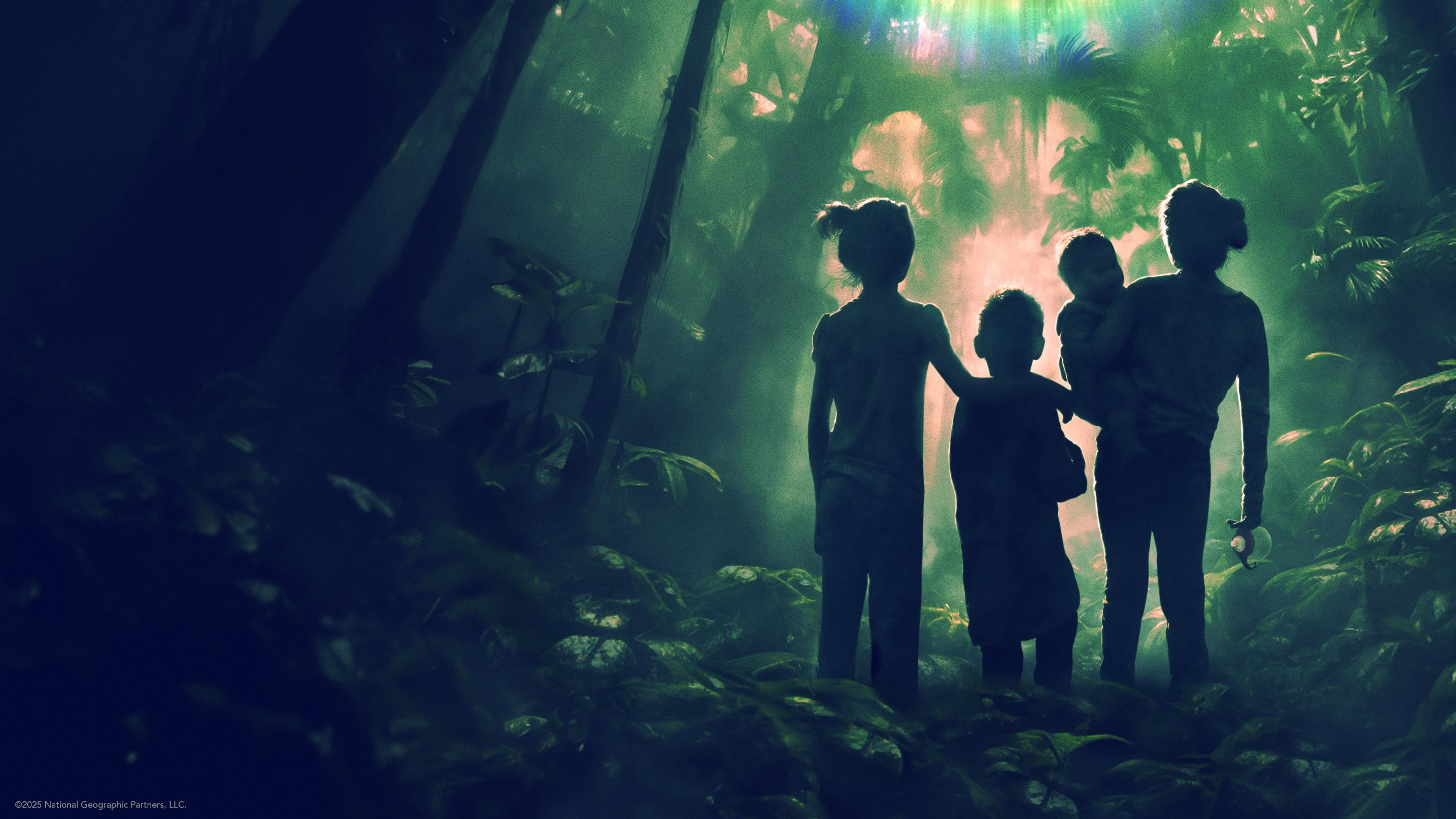 Lost in the Jungle Background