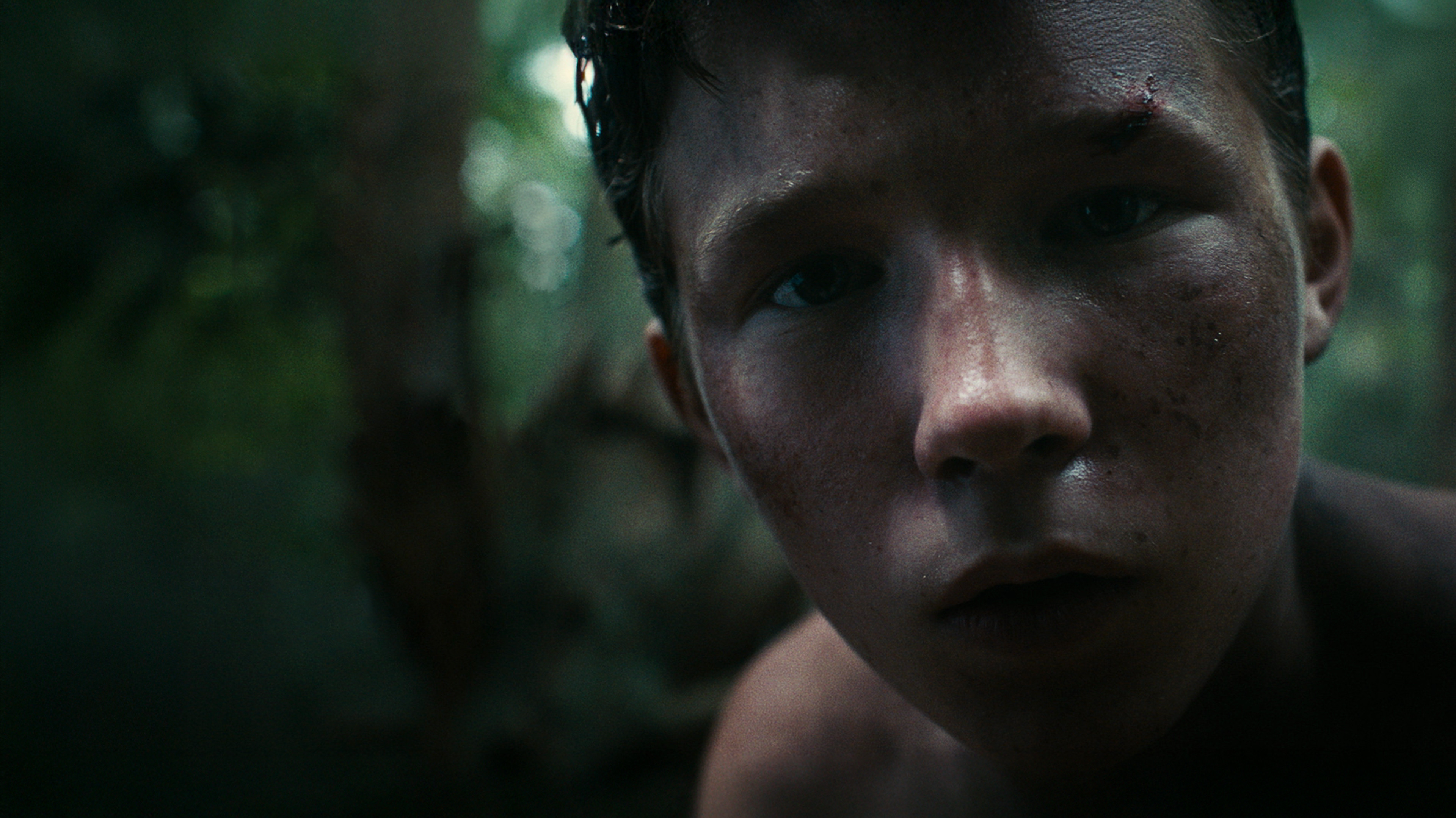 Lost on a Mountain in Maine Background