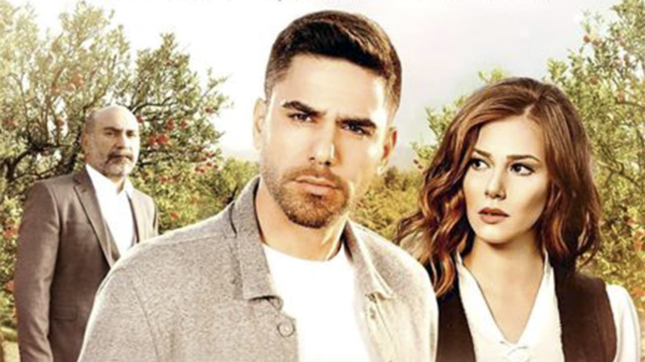 Sevdam Alabora Background