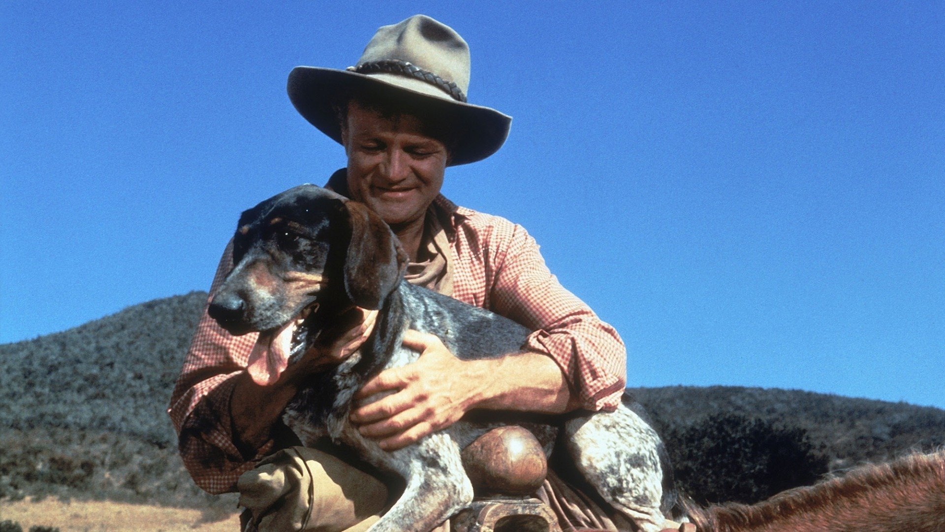 Savage Sam Background