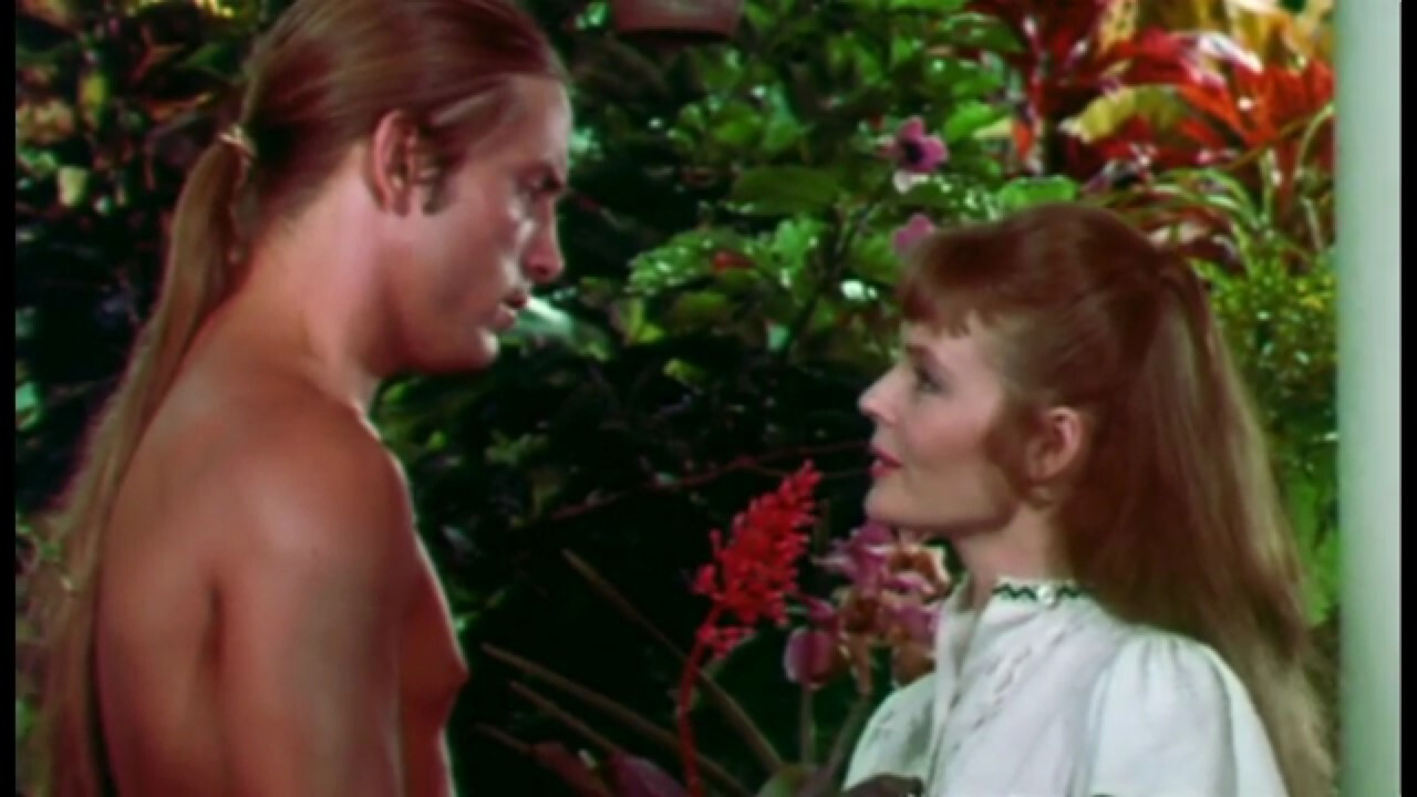 The Gardener Background