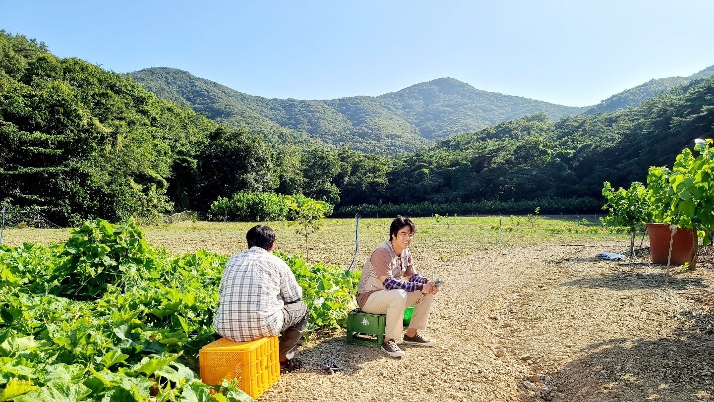 Ssanahee Sunjung Background