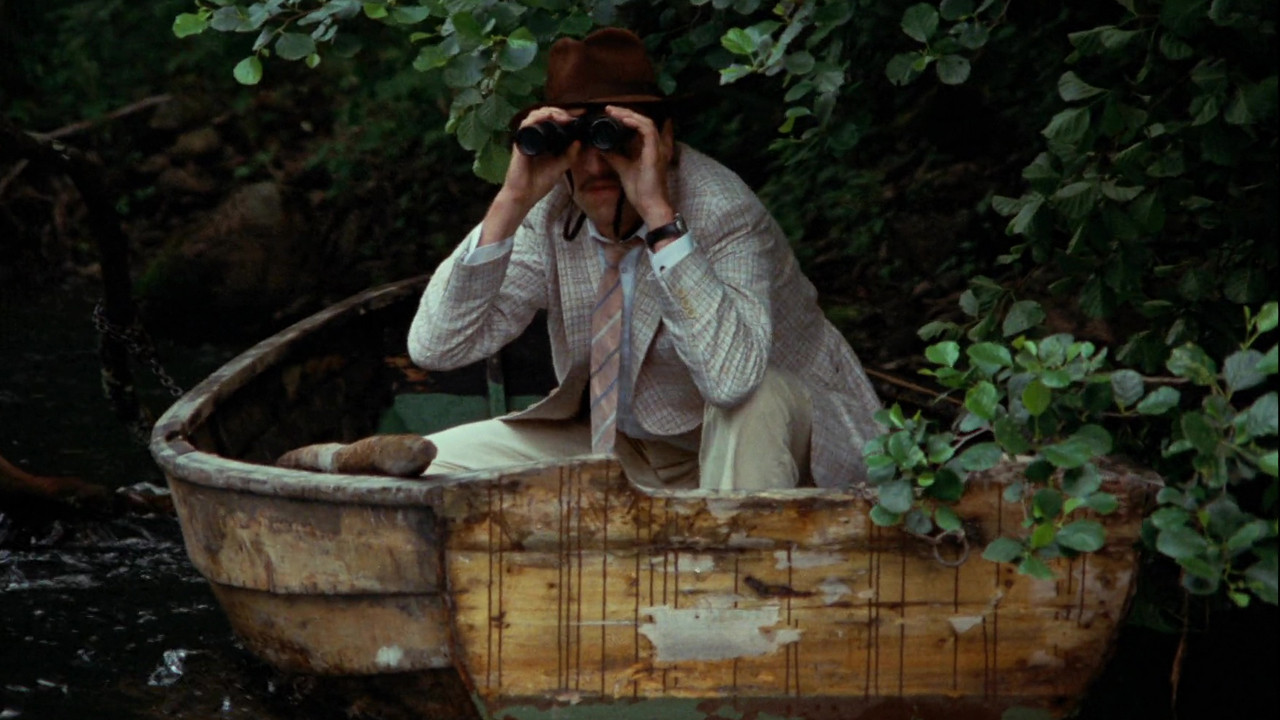 The Rooster Background