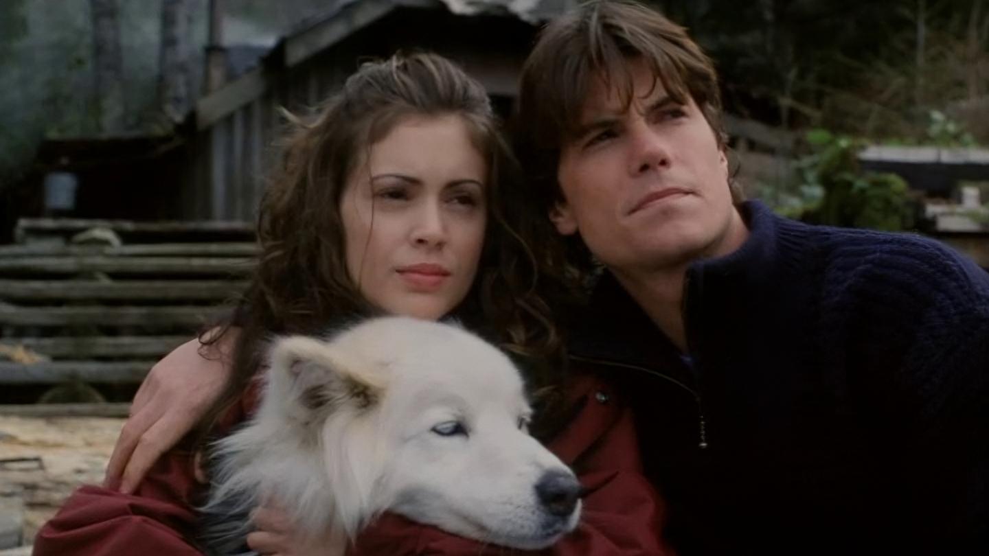 To Brave Alaska Background