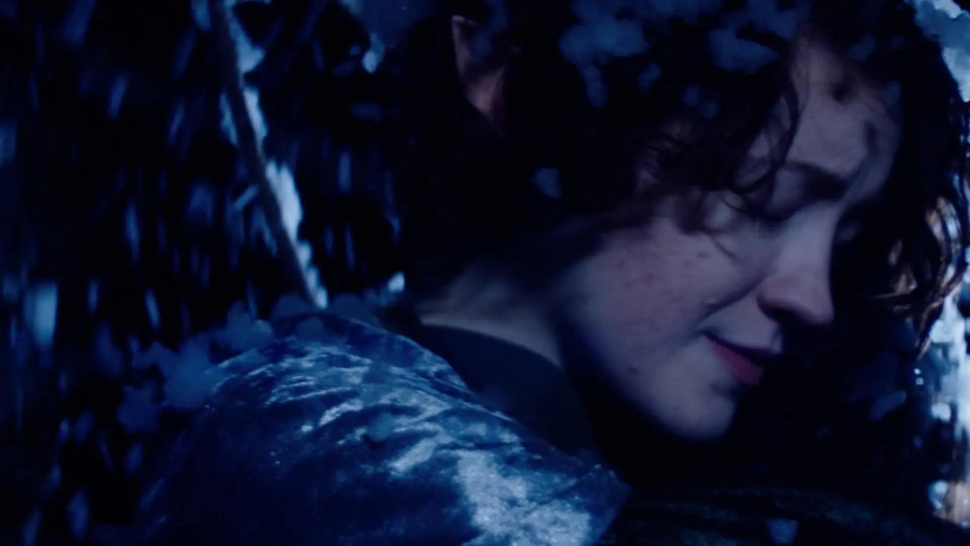 The Magical Christmas Tree Background